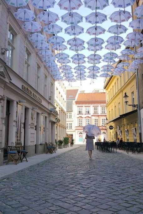 Diamond Residence In Old Town With Free Parking ブラチスラヴァ エクステリア 写真